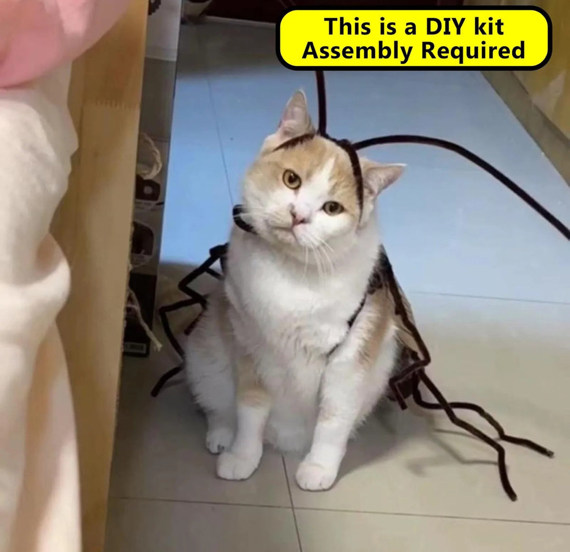 Meowroach Cat Costume