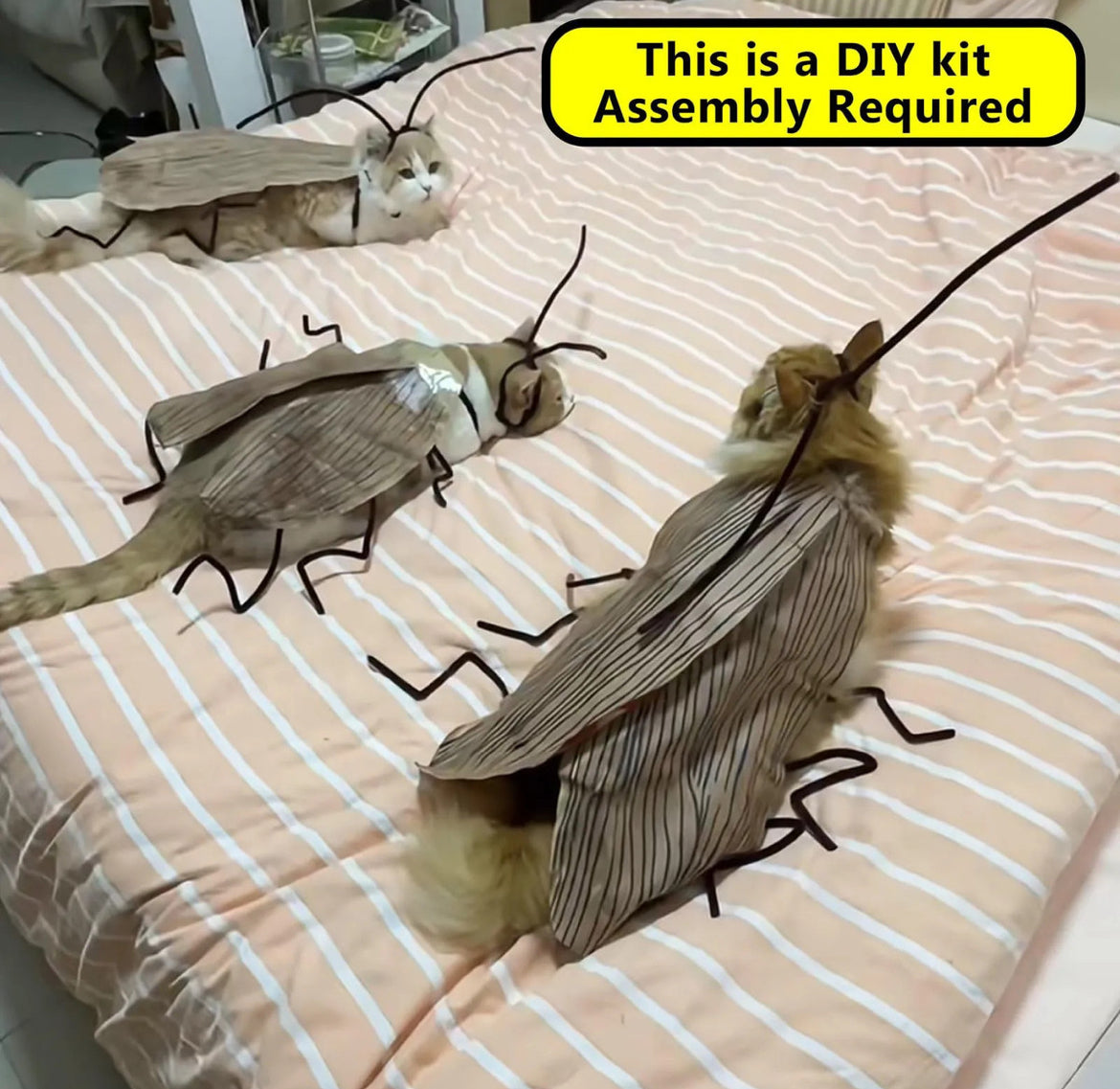 Meowroach Cat Costume