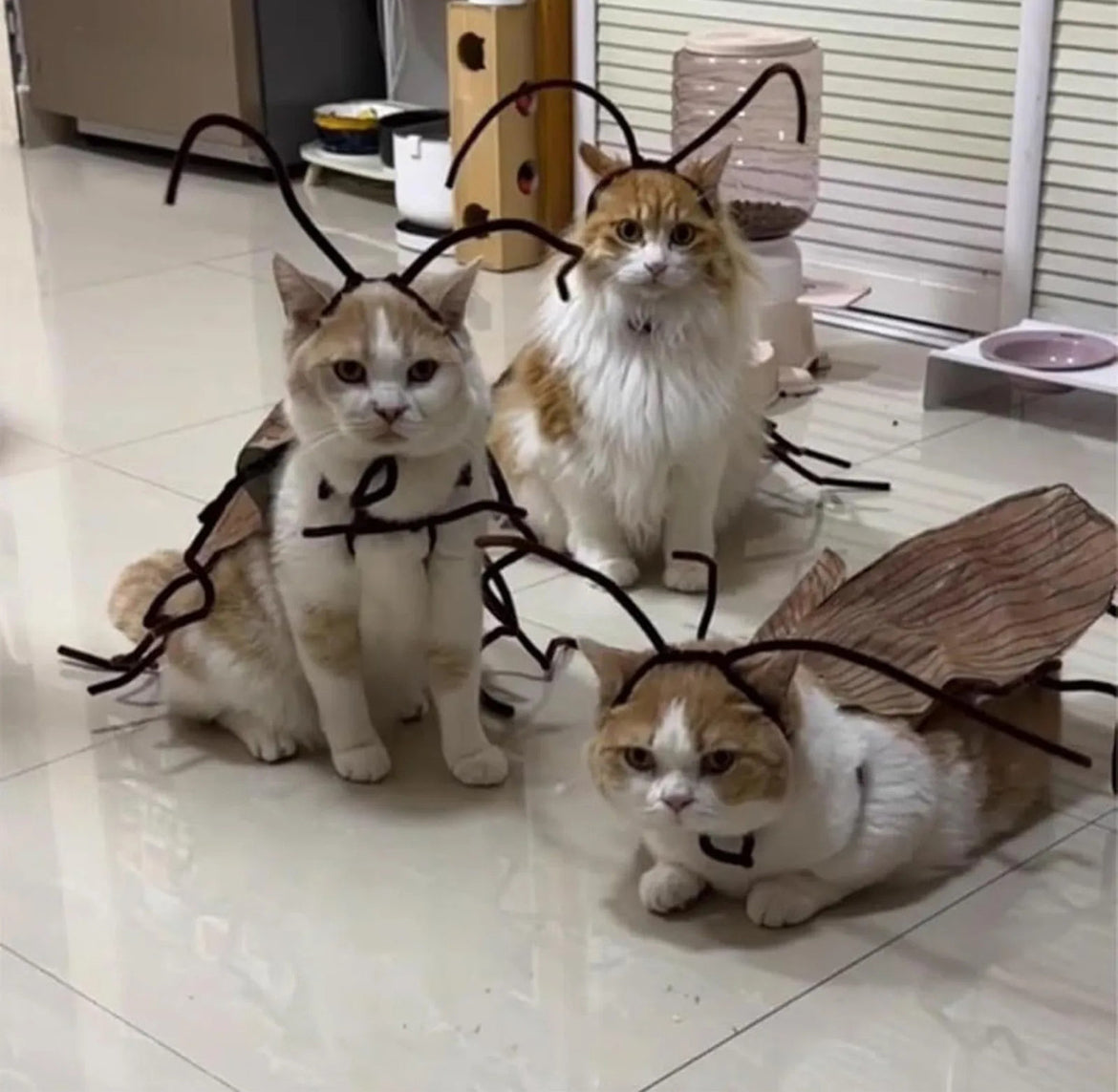 Meowroach Cat Costume