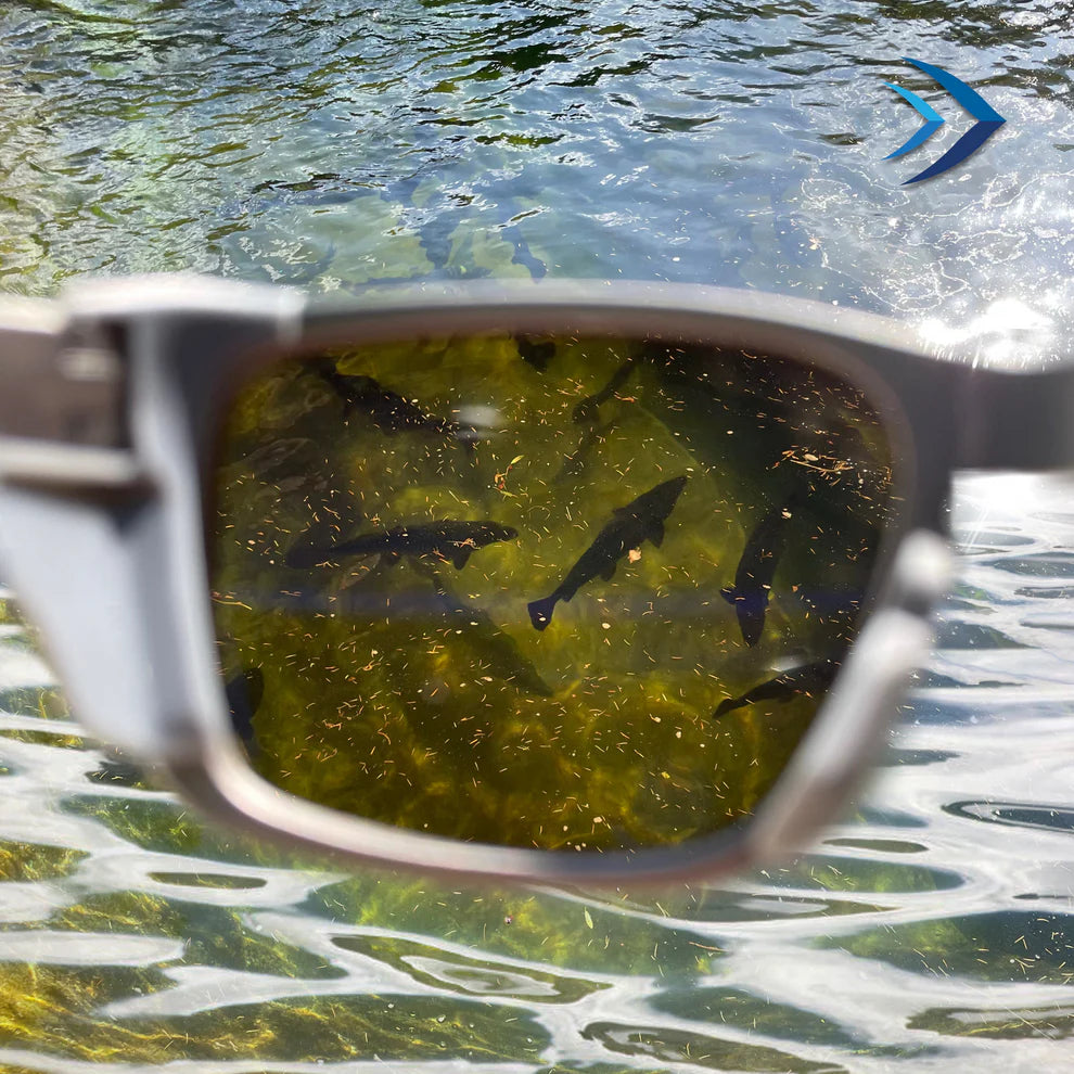 Polarized Fishing Glasses