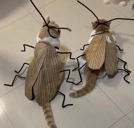 Meowroach Cat Costume